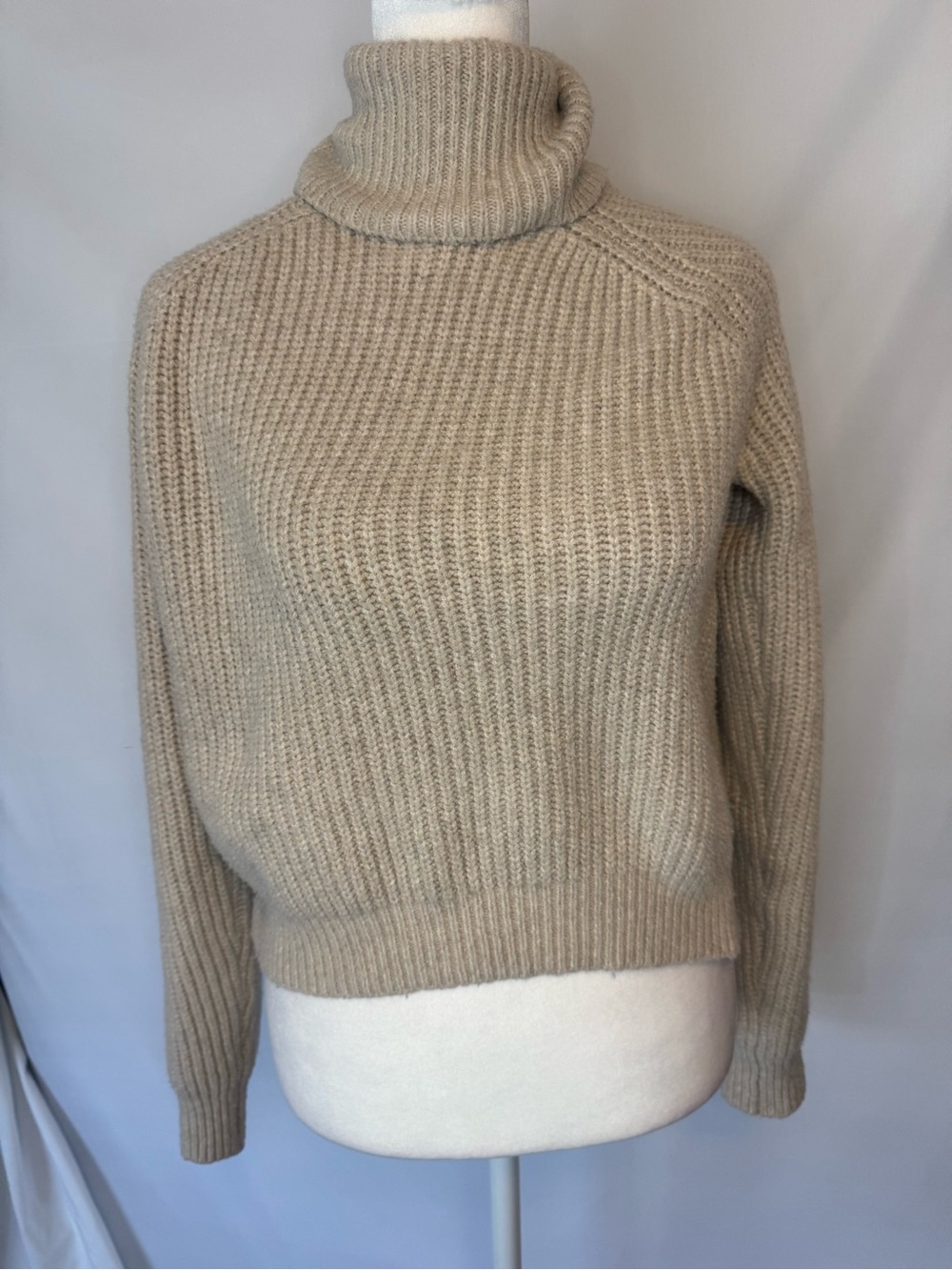 Cozy Ribbed Turtleneck Sweater in Light Beige